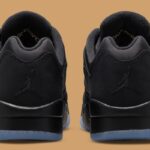 air-jordan-5-low-wings-DJ1094-001-12.jpg